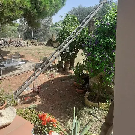 Dimora Del Sole Nova Siri