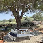 Panzió Dimora Del Sole Nova Siri
