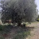 Dimora Del Sole Panzió