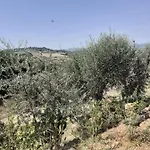 Dimora Del Sole