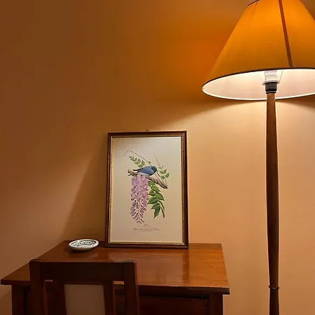 Dimora Del Sole Bed & Breakfast Nova Siri