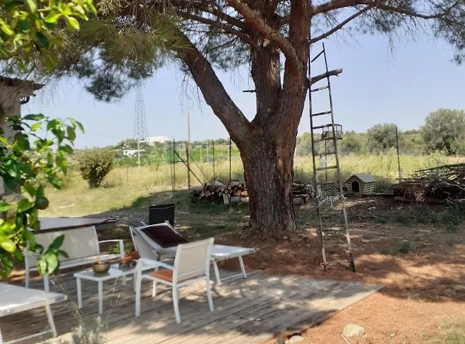 Dimora Del Sole Bed & Breakfast Nova Siri