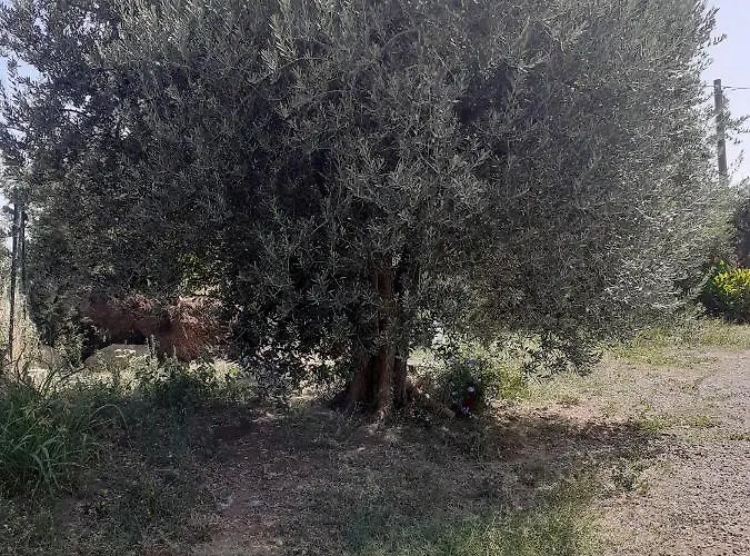 Dimora Del Sole Bed & Breakfast