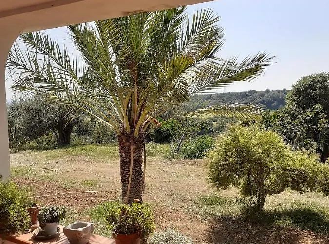 Dimora Del Sole Bed & Breakfast *